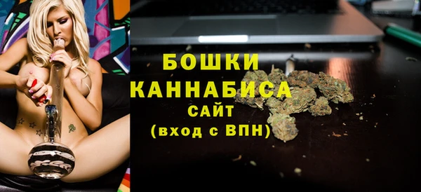сатива Лабытнанги