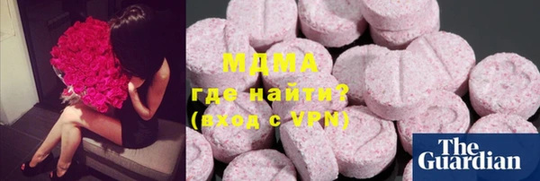 сатива Лабытнанги