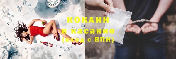 сатива Лабытнанги