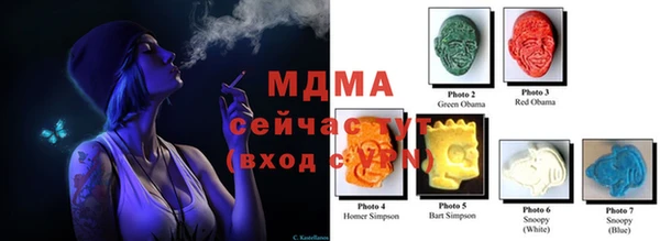 сатива Лабытнанги