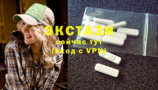 сатива Лабытнанги