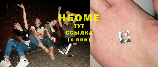 сатива Лабытнанги