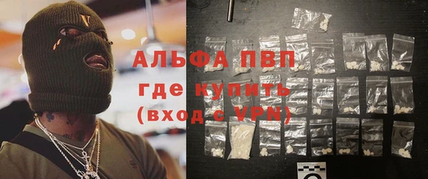 сатива Лабытнанги