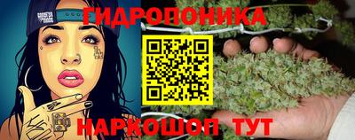 гидропоника Ирбит