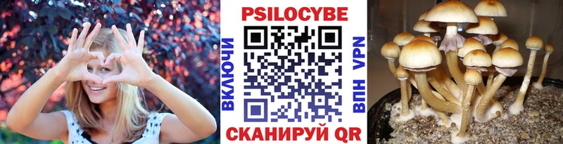 Галлюциногенные грибы Cubensis  Псков 