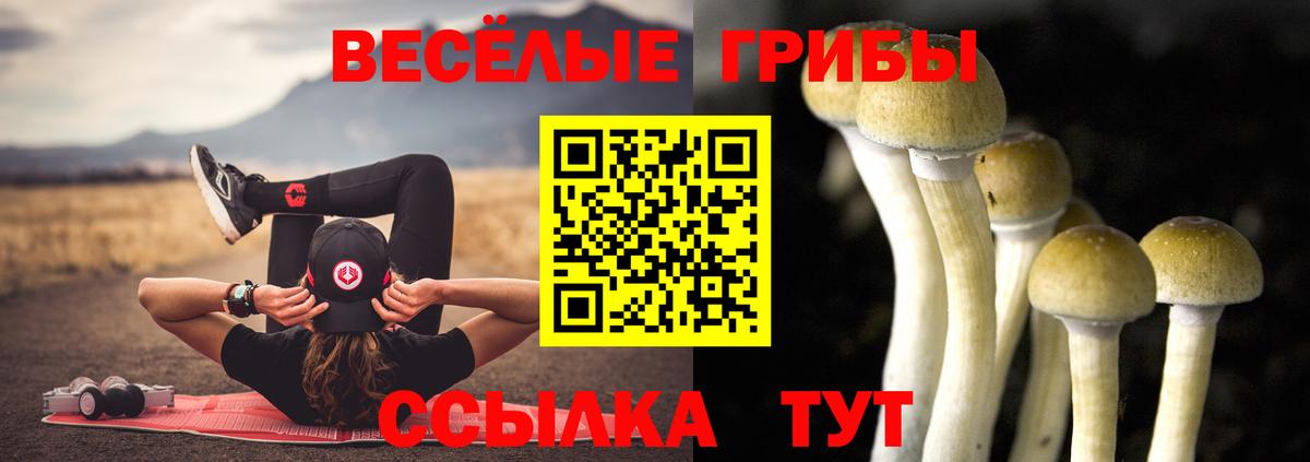 Псков  Псилоцибиновые грибы прущие грибы  Вход с VPN  Псилоцибиновые грибы Psilocybine cubensis 
